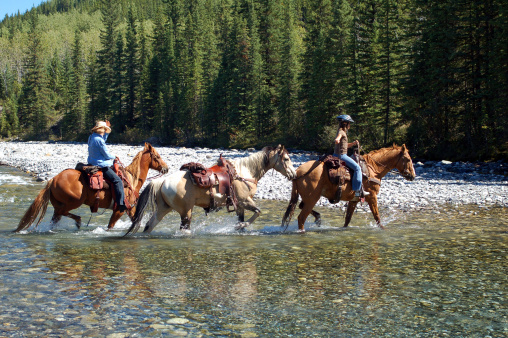 Guided horseback ride in the Canadian Rockies