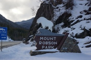 The Mountain Goat on top of the Mount Robson Park Sign