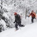 Cross-Country Skiing Jasper National Park