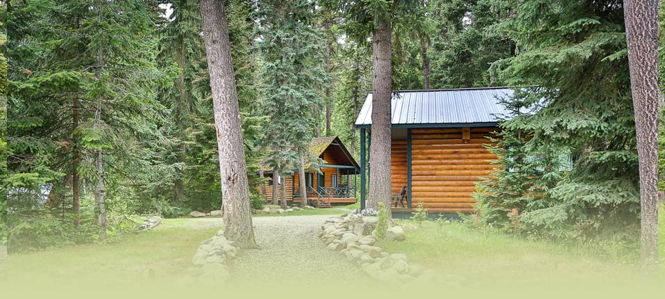 Mount Robson Cabin Cedar Point At Mountain River Lodge Mount