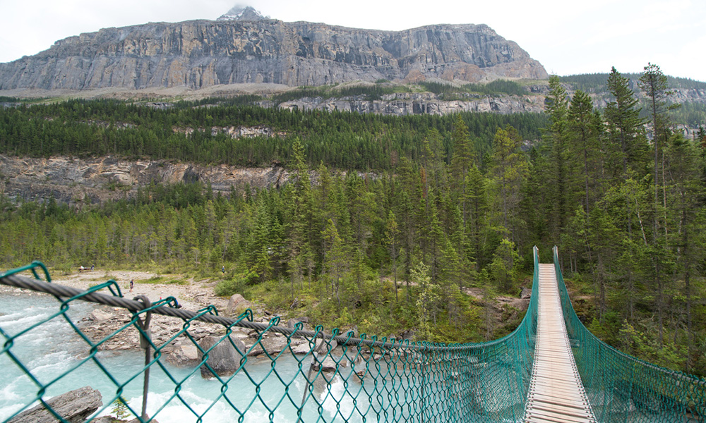 Robson river & suspension bridge 
