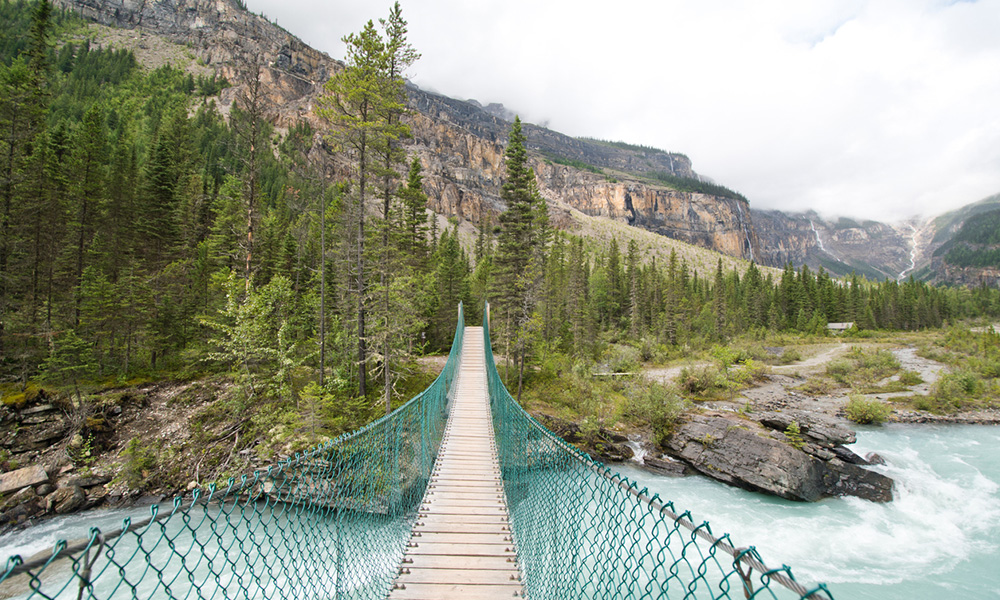Berg lake trail bridge